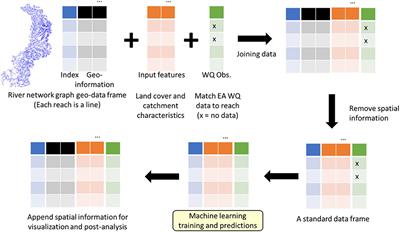 River reach-level machine learning estimation of nutrient concentrations in Great Britain